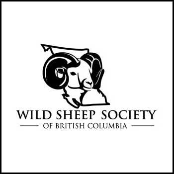 wild-sheep-society-of-bc-logo